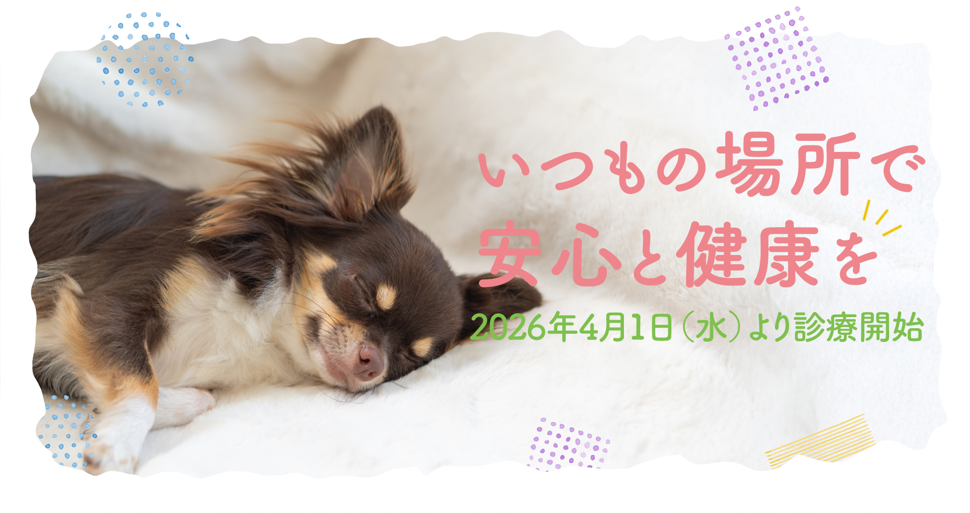 メイン画像.jpg